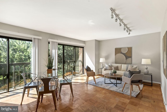 living room with baseboards and track lighting