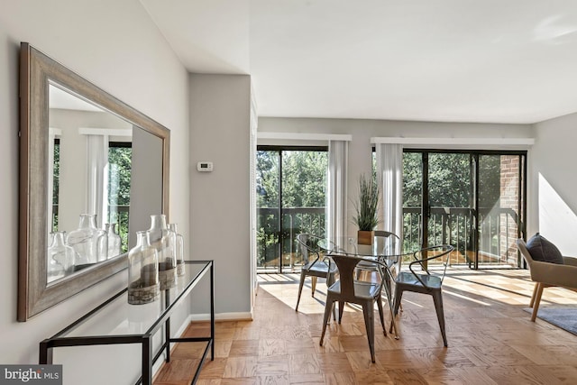 dining room featuring baseboards and plenty of natural light