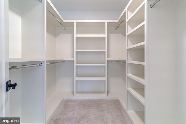 walk in closet featuring carpet flooring