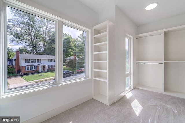 spacious closet with light carpet