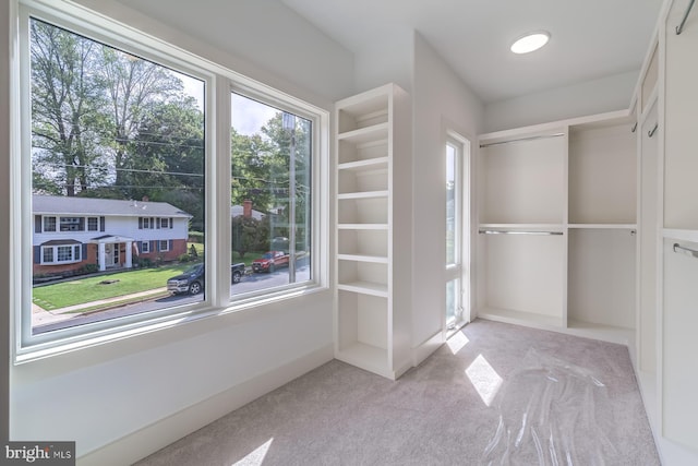 spacious closet with light carpet