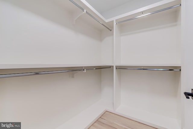 spacious closet with light wood-type flooring