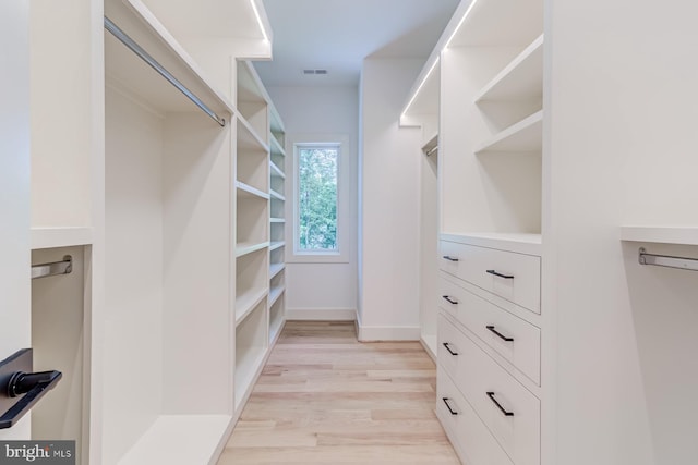 walk in closet with visible vents and light wood-type flooring