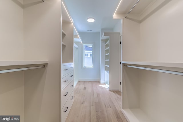 spacious closet featuring light wood-style flooring