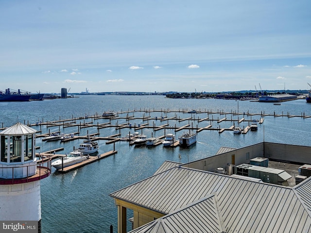 dock area featuring a water view