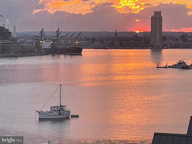 2702 Lighthouse Pt E Unit 638, Baltimore, MD 21224 - water view with nearby urban area