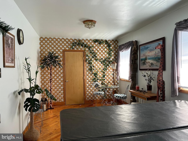 playroom featuring wood finished floors