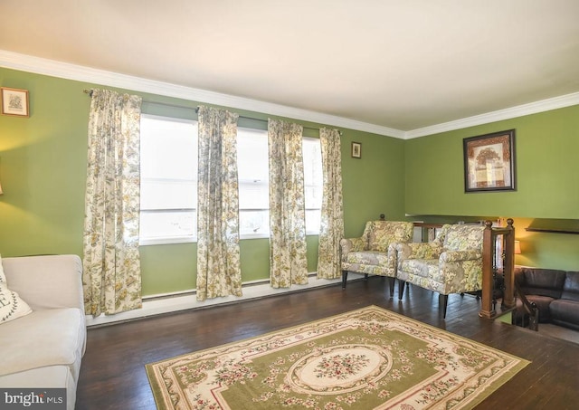 living room featuring wood finished floors, a baseboard radiator, and ornamental molding