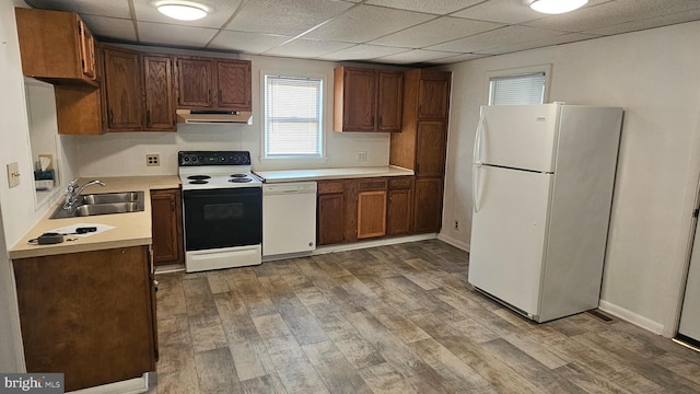 kitchen featuring a sink, wood finished floors, ventilation hood, white appliances, and light countertops