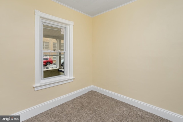 unfurnished room with ornamental molding, baseboards, and carpet floors