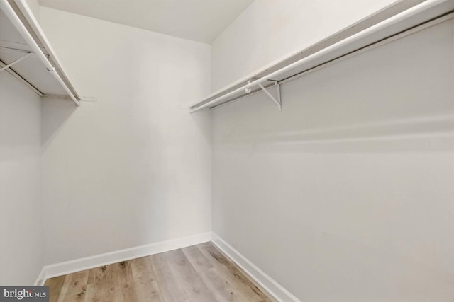 walk in closet featuring light wood-type flooring