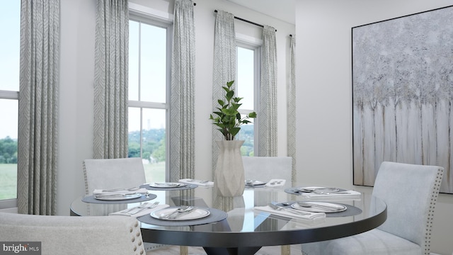 dining area with a wealth of natural light