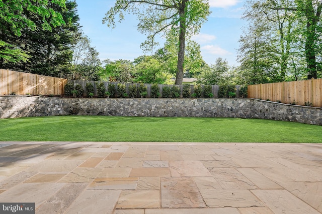 6813 Millwood Rd, Bethesda, MD 20817 - view of yard with a patio