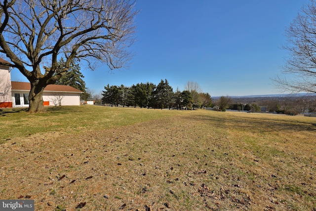 view of yard