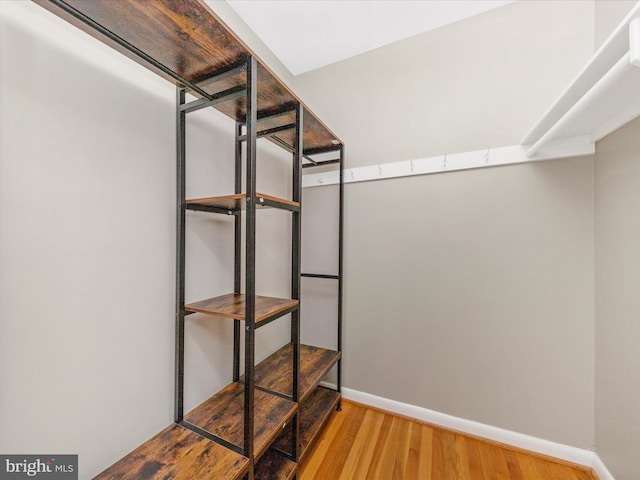 walk in closet featuring wood finished floors