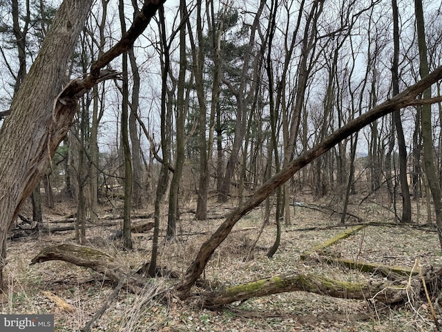 view of local wilderness