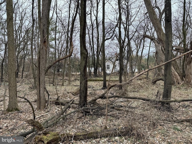 view of local wilderness