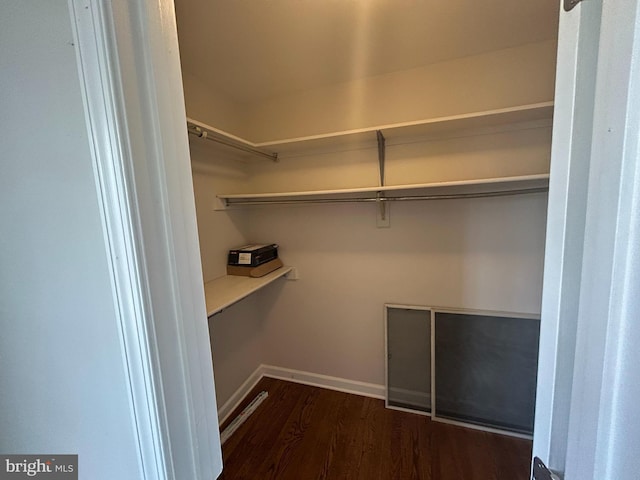 walk in closet featuring dark wood-style floors