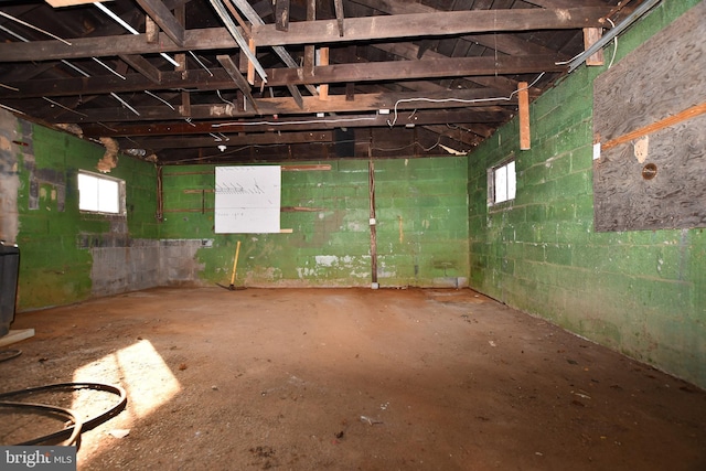 basement with concrete block wall