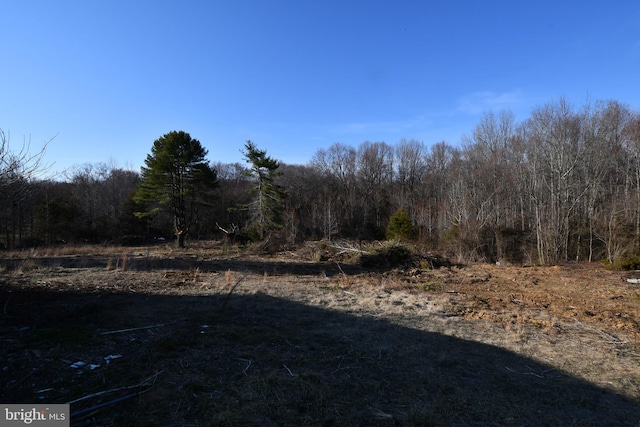 view of landscape featuring a forest view