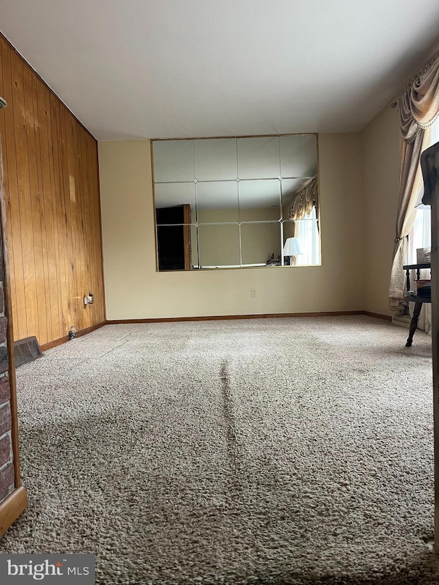 spare room with wood walls, baseboards, and carpet floors