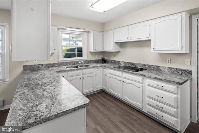 kitchen featuring a sink, black electric cooktop, white cabinets, and dark wood-style flooring