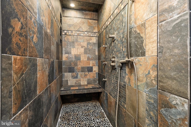 interior details with tiled shower