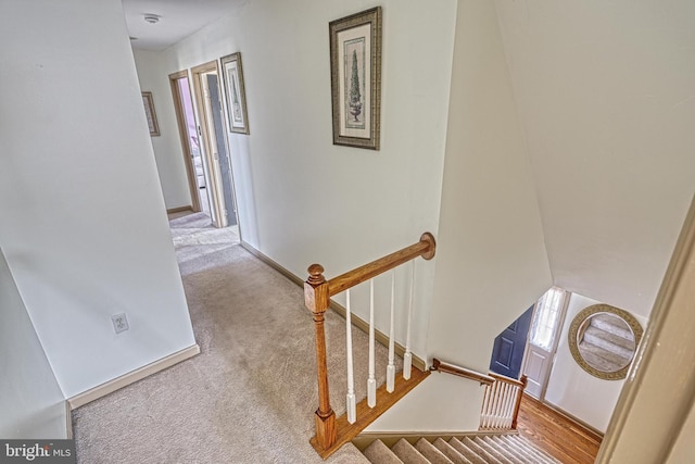 stairway with baseboards and carpet