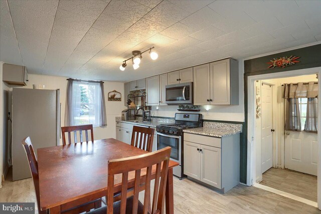 interior space featuring light wood finished floors, gray cabinets, and appliances with stainless steel finishes