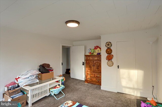 recreation room featuring carpet floors