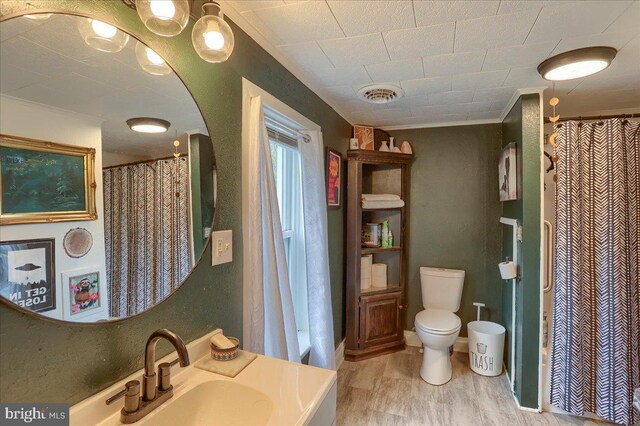 bathroom with a sink, visible vents, curtained shower, and toilet