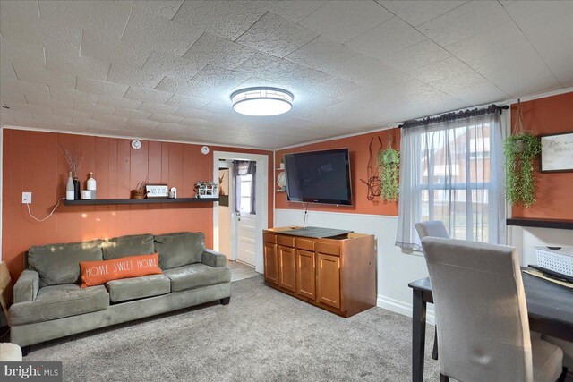 living room with carpet flooring