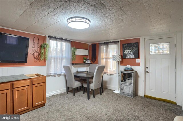 dining space with light carpet, a healthy amount of sunlight, and baseboards