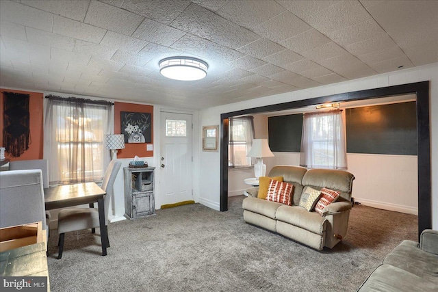 living area featuring carpet floors