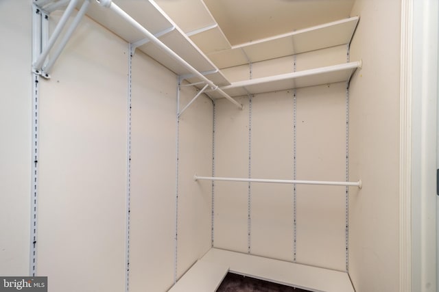 view of walk in closet