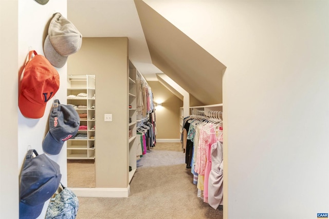 walk in closet featuring carpet floors