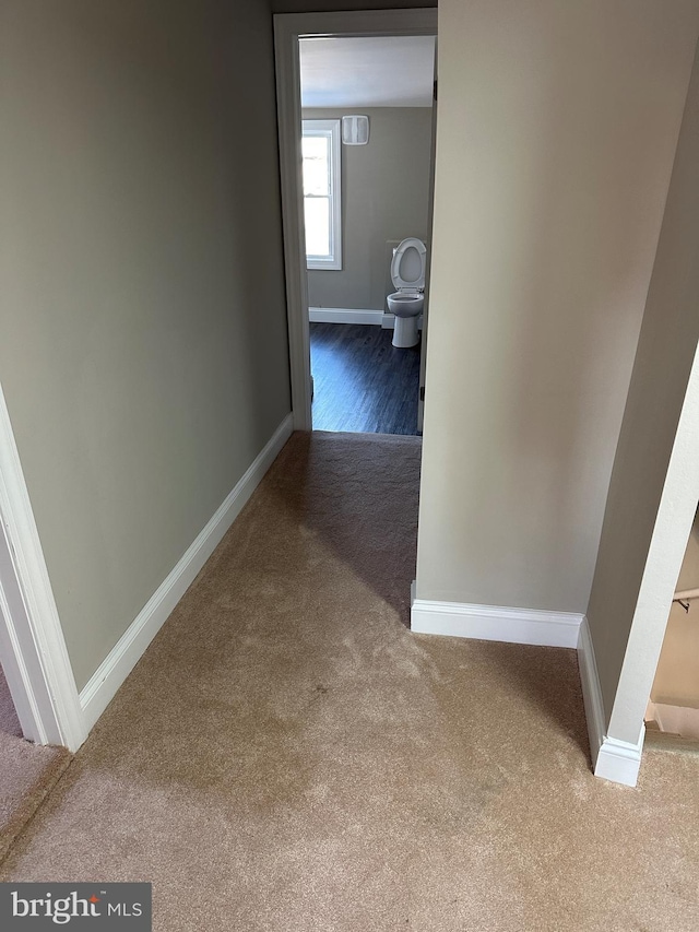 hall featuring carpet flooring and baseboards