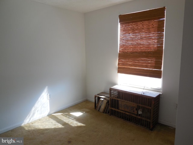 empty room with carpet flooring