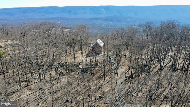 property view of mountains with a view of trees