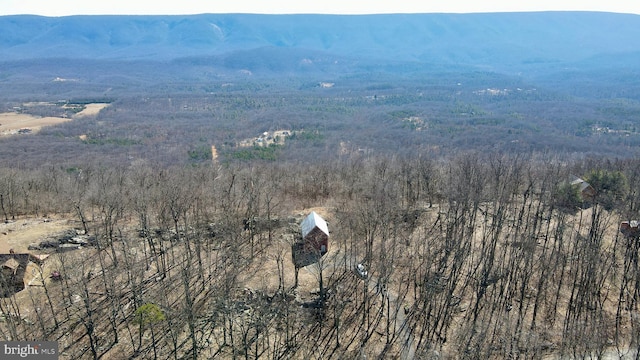 mountain view with a forest view