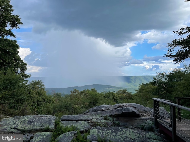 mountain view featuring a forest view