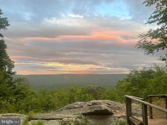 property view of mountains featuring a forest view