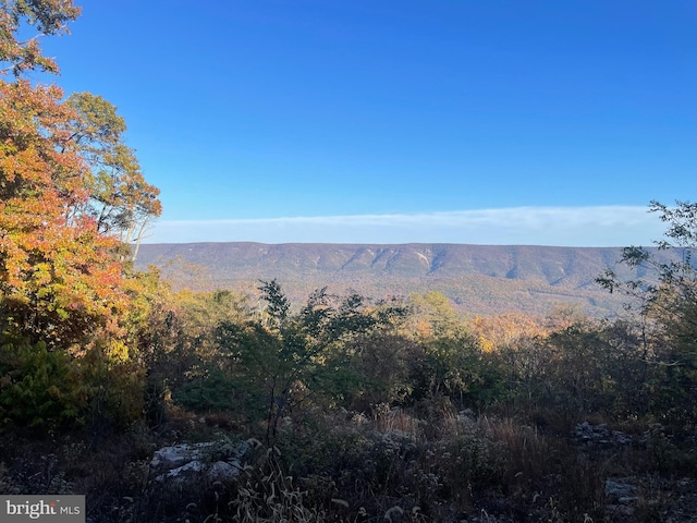 view of mountain feature with a wooded view