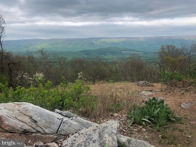 view of mountain feature featuring a view of trees