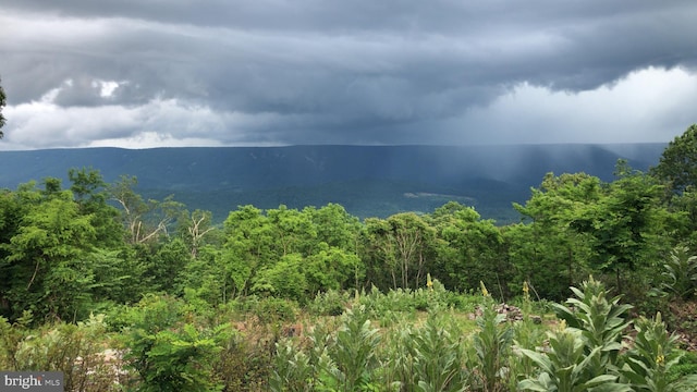 mountain view with a view of trees