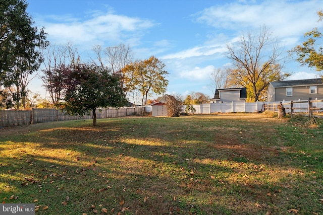 view of yard with a storage unit, a fenced backyard, and an outdoor structure