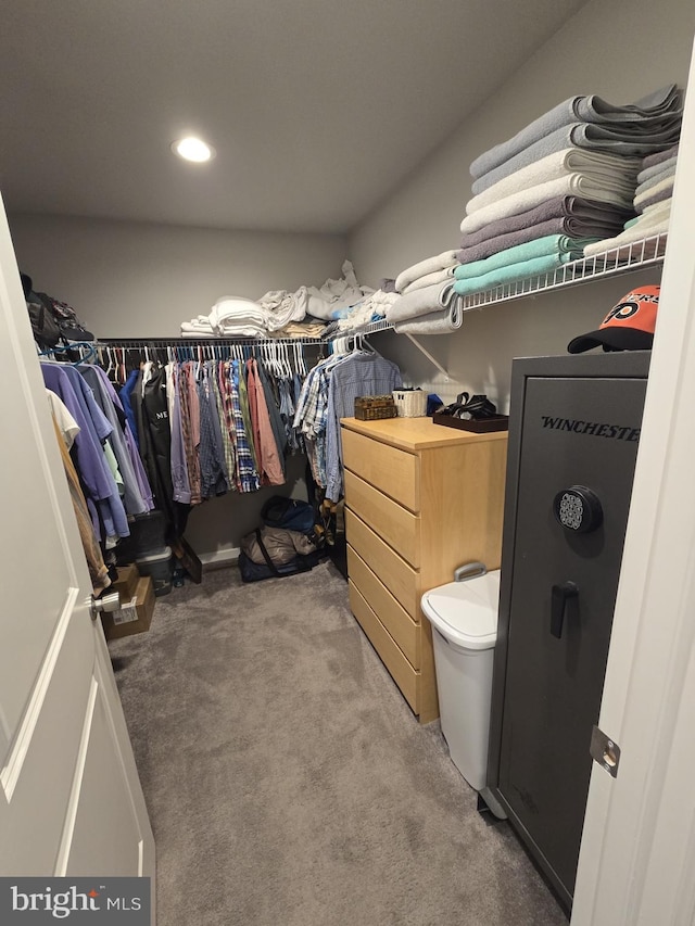 walk in closet featuring light colored carpet