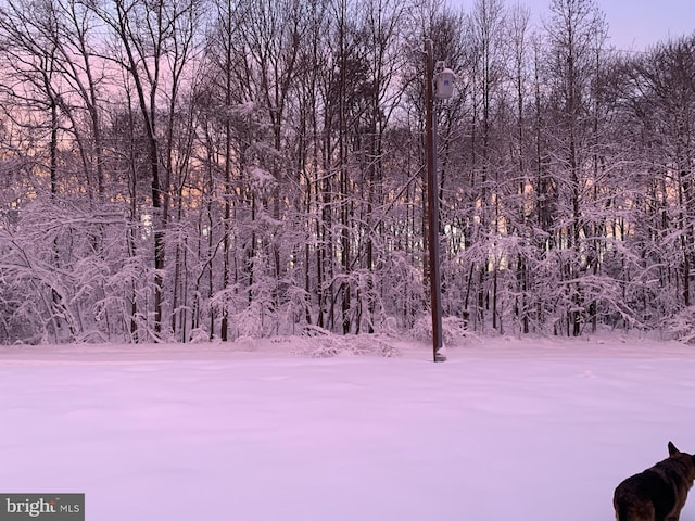 view of community with a view of trees