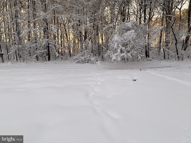 view of yard covered in snow