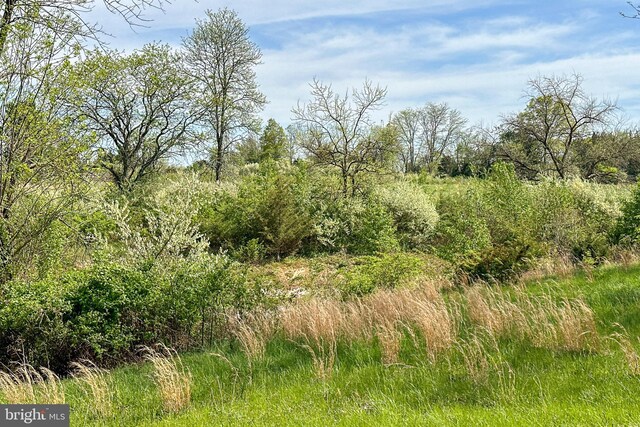 64 Harlingen Rd, Belle Mead, NJ 08502 - view of landscape